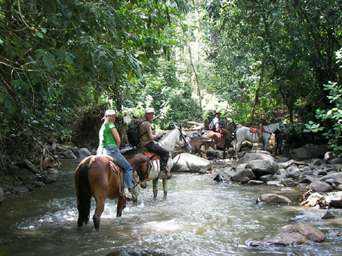 Puntarenas Costa Rica Boat Ride  Shore Excursion Prices