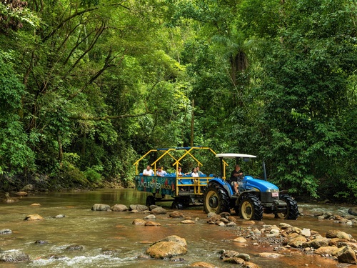 Puntarenas Tarcoles River Excursion Booking