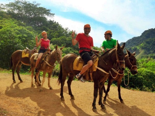 Puerto Vallarta Mexico zipline Shore Excursion Reviews