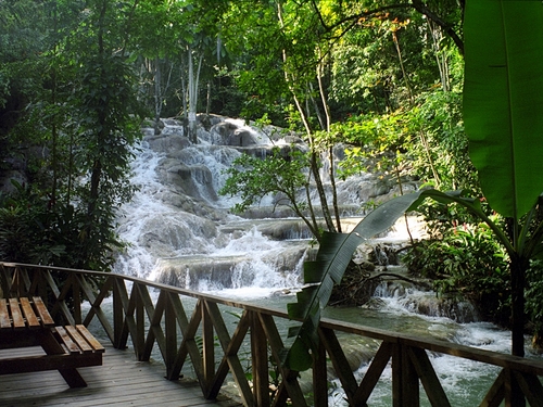 Ocho Rios Jamaica zipline and falls Tour Reservations