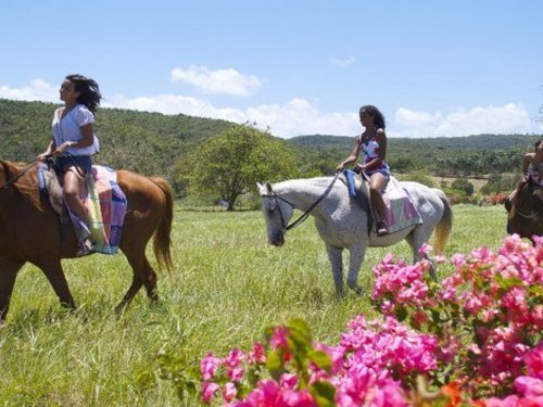 Falmouth  Jamaica ride through the country Excursion