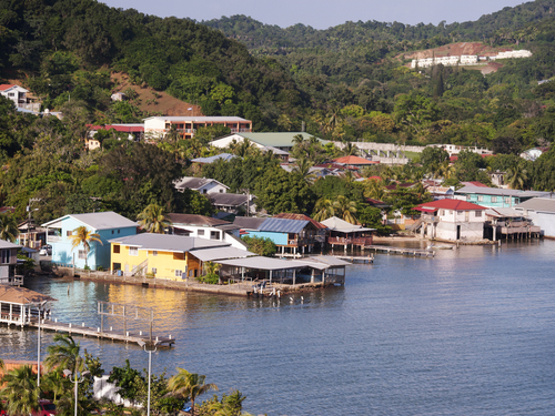 Roatan Colorful Fish Excursion Reviews