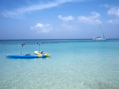 Roatan Honduras Tabyana Beach Amazing Tour Reservations