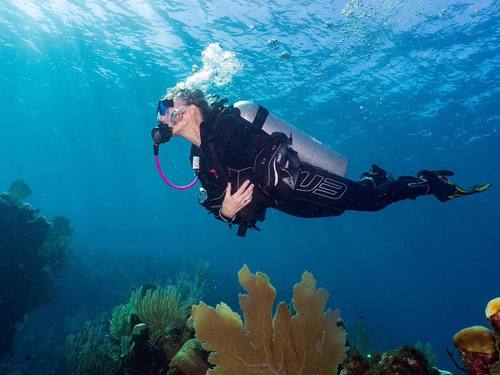 Roatan Mr Bud Diving Cruise Excursion Reviews