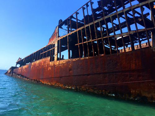 Roatan Semi Sub Glass Bottom Boat Barrier Reef Excursion