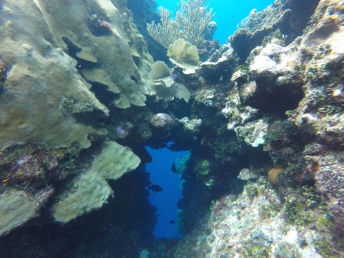 Roatan Snorkel Shore Excursion Cost