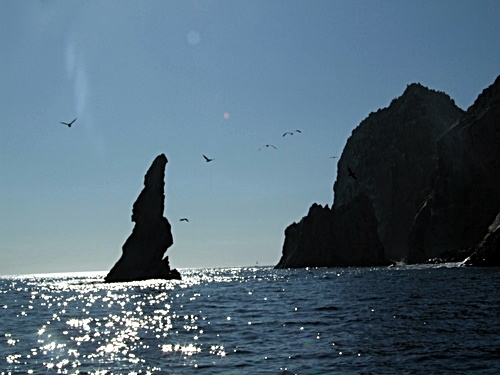 Cabo San Lucas  Mexico guided snorkel Tour