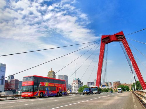 Rotterdam Erasmusbrug Excursion Booking