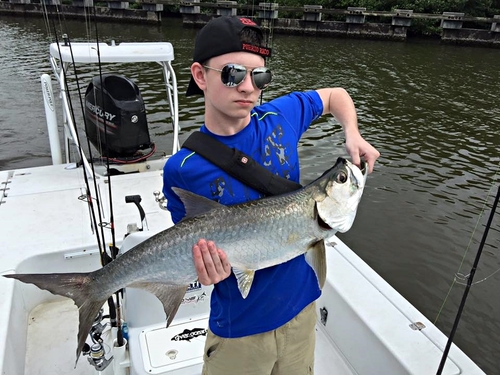 San Juan tarpon fishing Shore Excursion Prices