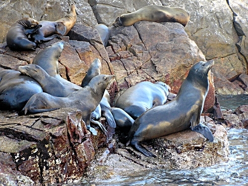 Cabo San Lucas  Mexico beach Tour