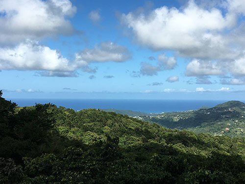 St. Lucia (Castries) aerial tram Excursion Tickets