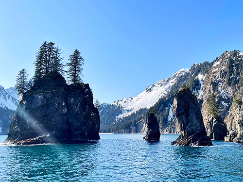 Seward Full Day Northwestern Kenai Fjords Cruise Excursion with Lunch