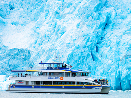 Seward Kenai Fjords 2 Glacier Viewing Cruise Excursion with Lunch