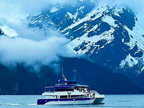 Seward Kenai Fjords 2 Glacier Viewing Cruise Excursion with Lunch