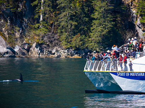 Seward Kenai Fjords Wildlife Cruise Excursion