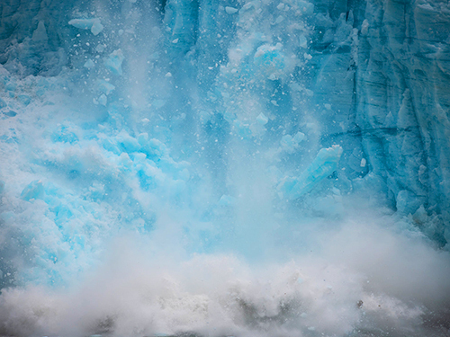 Seward Kenai Fjords Wildlife Cruise Excursion