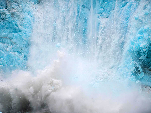 Seward Kenai Fjords Wildlife Cruise Excursion