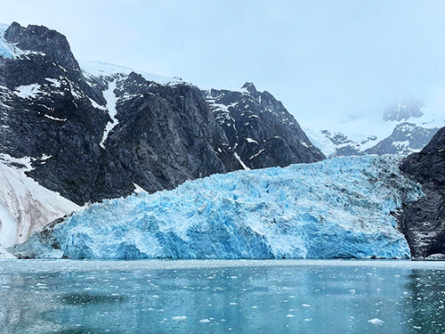 Seward Orca Whale Watching Cruise Excursion