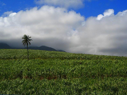 St. Kitts Basseterre Hiking Excursion Cost