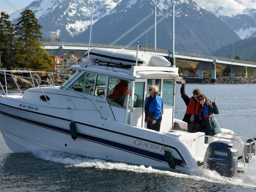 Sitka Bald Eagle Sightseeing Trip Booking