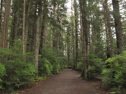 Sitka Private Scenic Sightseeing and Fortress of the Bear Excursion