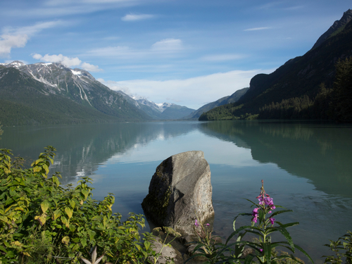 Skagway Alaska wildlife viewing Shore Excursion Booking