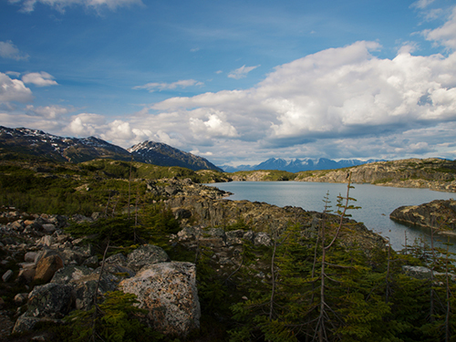 Skagway Alaska / USA Yukon Suspension Bridge Sightseeing Cruise Excursion Tickets