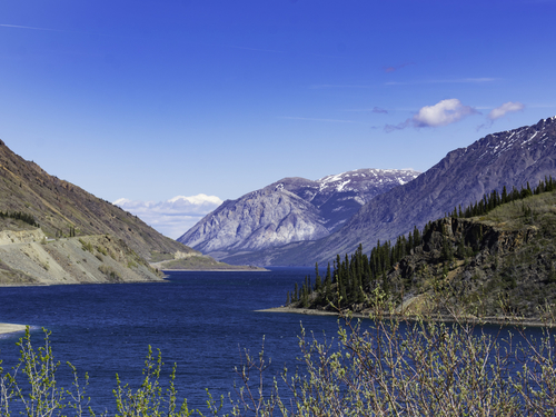 Skagway Skagway Historical Sightseeing Cruise Excursion Prices