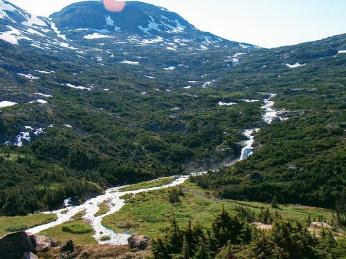 Skagway Alaska Summit sightseeing Tour Prices