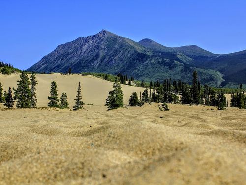 Skagway British Columbia sightseeing sightsee Excursion Booking