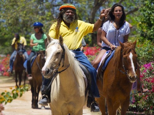 Montego Bay ocean swim with horses Prices