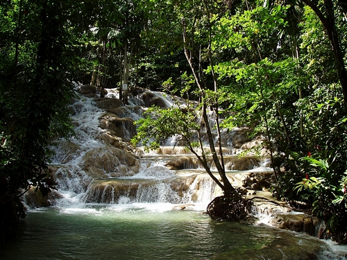 Ocho Rios zipline and falls Excursion Reviews