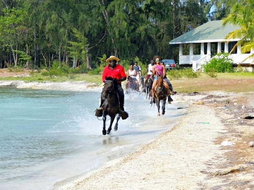 Roatan  Honduras zip line Tour Reservations