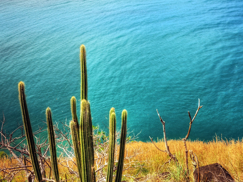 St. Lucia (Castries)  West Indies Pigeon Beach Snorkeling Trip Prices