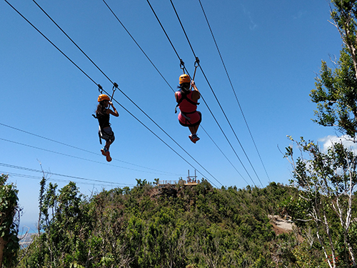 St. Maarten Rockland Estate Shore Excursion Booking