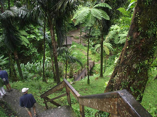 Fort de France  Martinique Balata Church Shore Excursion Reviews