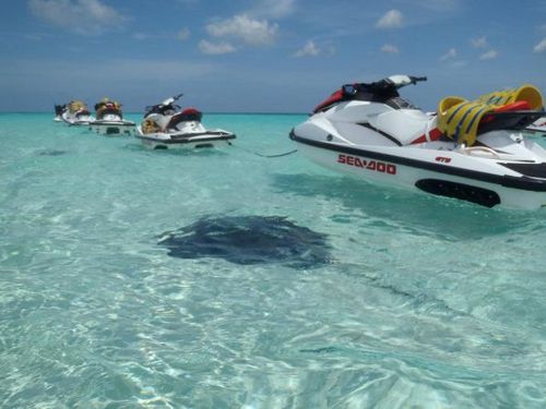 Grand Cayman coral reef snorkel Cost