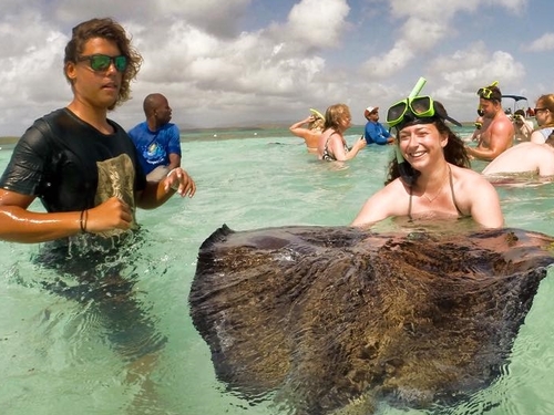 St. Johns stingrays Shore Excursion Booking