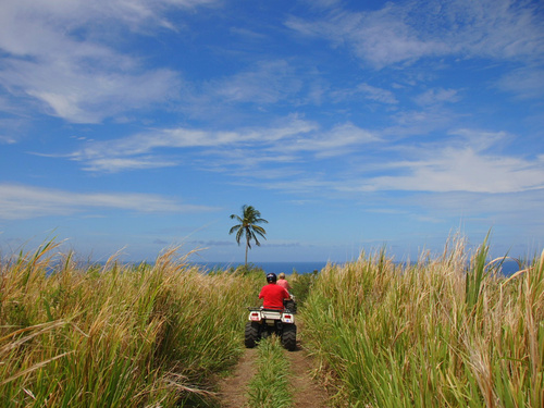 St. Kitts and Nevis 4X4 Vehicle Excursion Reviews