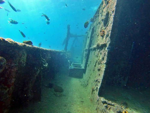 Barbados snorkel cruise Cruise Excursion Cost