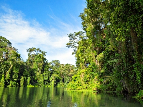 Puerto Limon tortuguero canal Tour Reviews