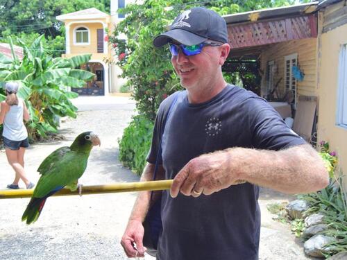 Taino Bay Dune Buggy and Beach Adventure Excursion