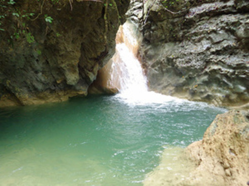 Taino Bay Puerto Plata Damajagua Waterfalls Adventure Excursion - Jump and Slide