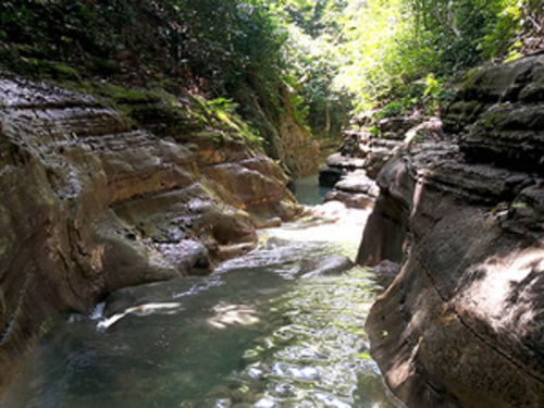 Taino Bay Puerto Plata Damajagua Waterfalls Adventure Excursion - Jump and Slide