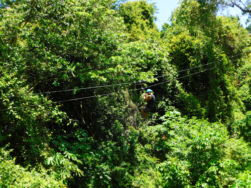 Taino Bay Puerto Plata Sightseeing and Zip Line Canopy Excursion