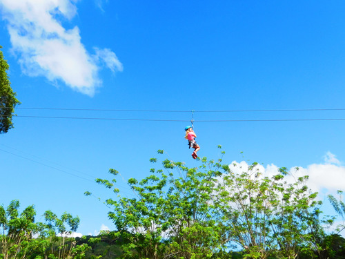 Taino Bay Puerto Plata Sightseeing and Zip Line Canopy Excursion