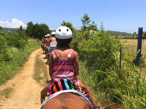 Falmouth ride through the country Cruise Excursion