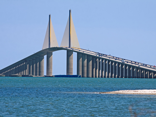 Tampa  US dolphin watching Shore Excursion Tickets