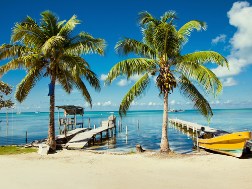 Belize Shark Ray Alley Excursion Cost