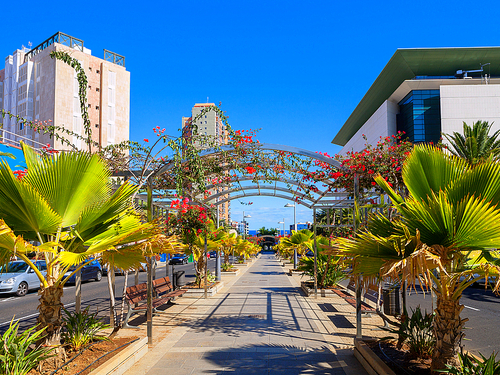 Tenerife  Canary Islands Mercado Nuestra Sra. de Africa Bus Excursion Tickets